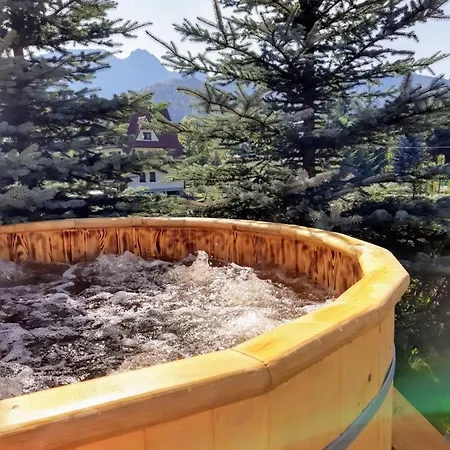 Tatrzanski Zomecek 住宿加早餐酒店 考斯赛力克