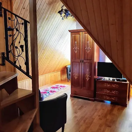 Tatrzanski Zomecek 考斯赛力克