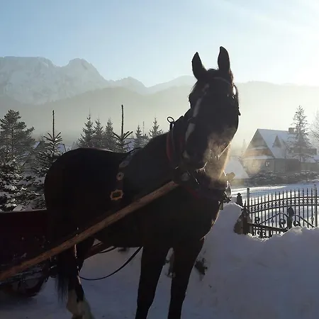 住宿加早餐酒店 Tatrzanski Zomecek 考斯赛力克
