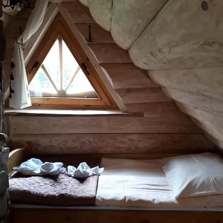 住宿加早餐酒店 Tatrzanski Zomecek 考斯赛力克